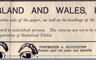 1911 census doodle