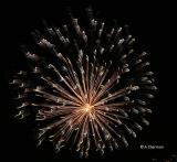 fireworks in the sky