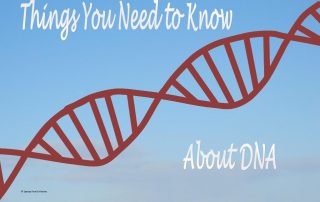 Things you need to know abut DNA