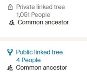 Common ancestor notification